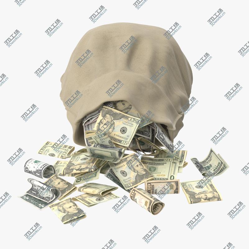 images/goods_img/2021040163/Open Money Bags Collection/4.jpg